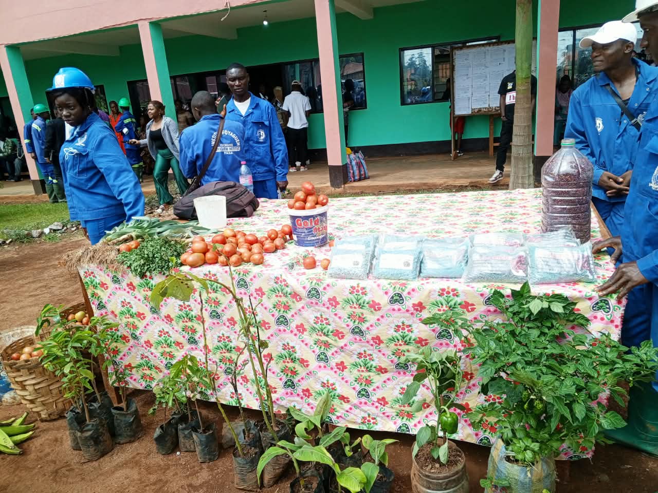 Étals de tomates et de légumes tenus par les étudiants en combinaison bleue.